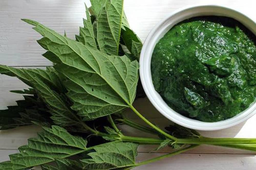 Kako napraviti biljno đubrivo