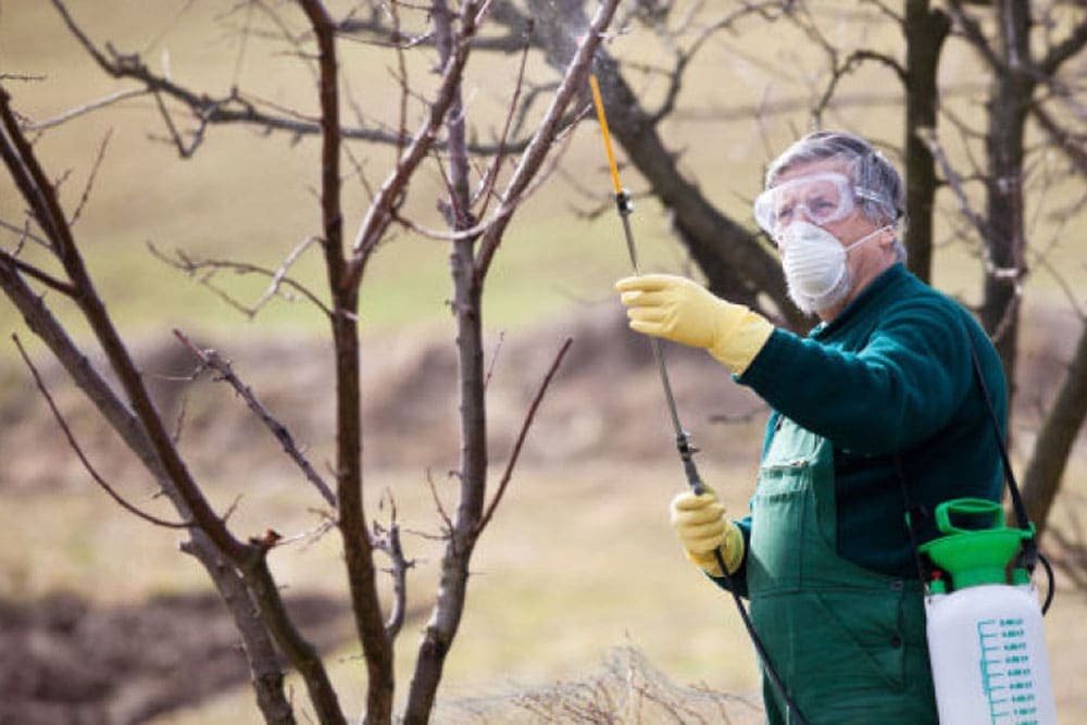 Hrvatska povlači iz prodaje sredstva na bazi mankozeba