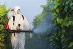 Sačuvajte pčele - ne prskajte voće u cvijetu sa insekticidima!