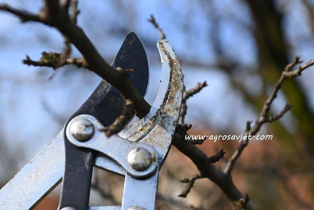 makaze za orezivanje