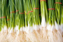 Mladi luk: Zelena pera zdravija od bijele glavice