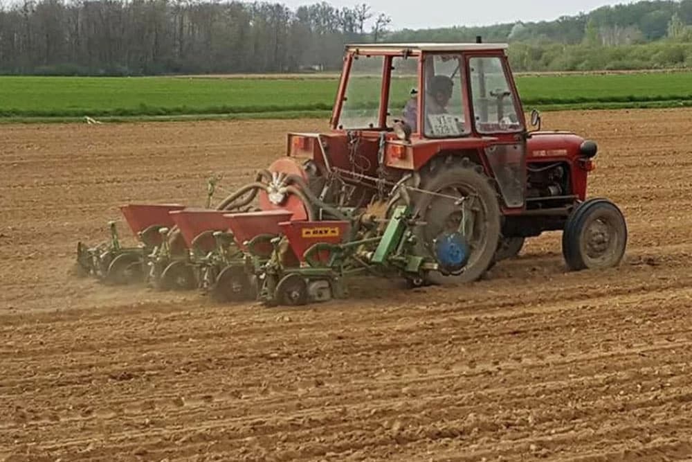 Odgođeno plaćanje zakupa zemljišta, besplatni paketi za sjetvu