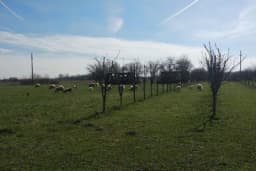 Mikrobiološka đubriva u voćarstvu