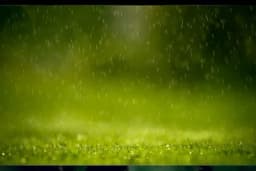 Ratari priželjkuju još kiše