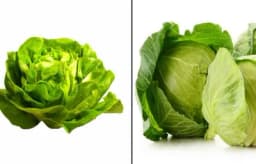 Zelena salata i kupus su zdravi, ali ne za svakoga