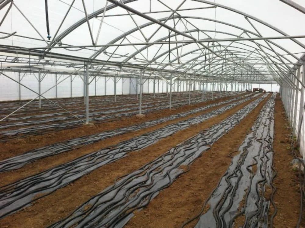 Uložio 220.000 KM u sistem za grijanje plastenika ali ispaltilo mu se