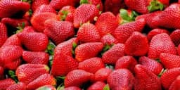 Kako se zaštititi od pesticida u ranom voću i povrću?