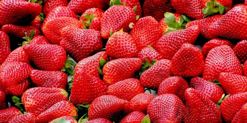 Kako se zaštititi od pesticida u ranom voću i povrću?