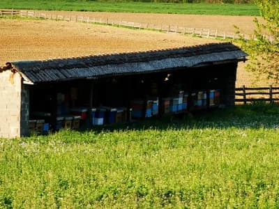PODSTICAJI PO KOŠNICI Ugljevičke pčelare obradovala pomoć lokalne uprave
