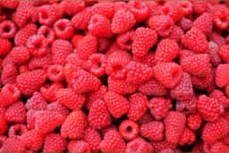 Crveno zlato dostiglo cijenu koju niko nije očekivao