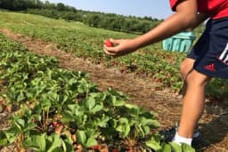 Jedinstvena poruka Centra za selo i BAŠTOVANA: Pravo je vrijeme da SAMI PROIZVODITE HRANU