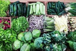 Pravilan plodored - organska mjera u borbi protiv šetetočina i bolesti