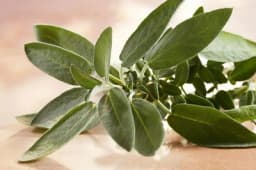 BROJSOV ČAJ ZA JAČANJE IMUNITETA