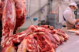Zabrana uvoza svježe govedine u BiH