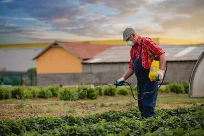 Radna karenca - Zaštitite se od pesticida