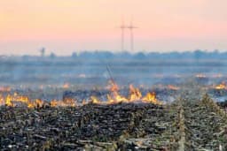 Da li će sateliti i aplikacije smanjiti paljenje njiva