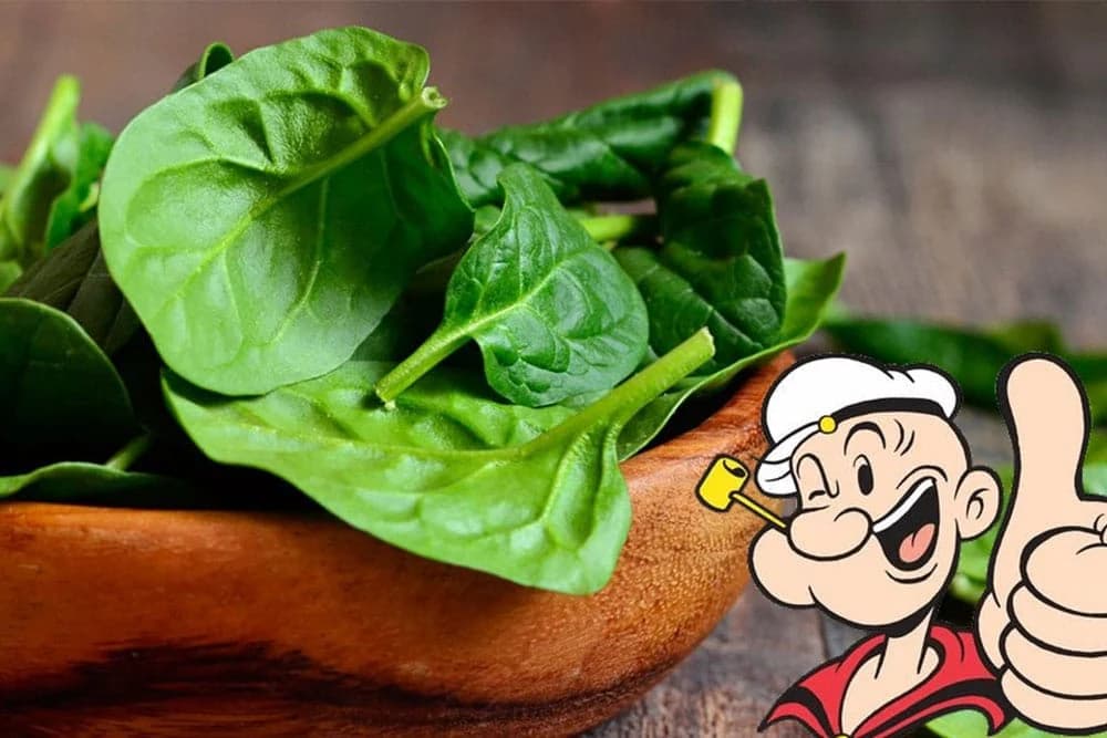 SPANAĆ: Pročitajte koje su prednosti ovog zelenog povrća!