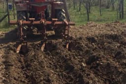 Đubrivo skraćuje brazdu i umanjuje prinos pšenice