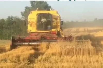 Objavljena poljoprivredna prognoza od 2019. do 2030. godine