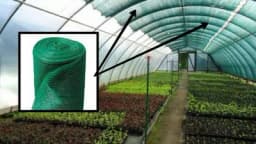 Zasjenjivanje plastenika: Spriječite ožegotine na plodovima povrća