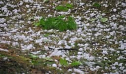 Zaštita voća i povrća nakon šteta nastalih gradom