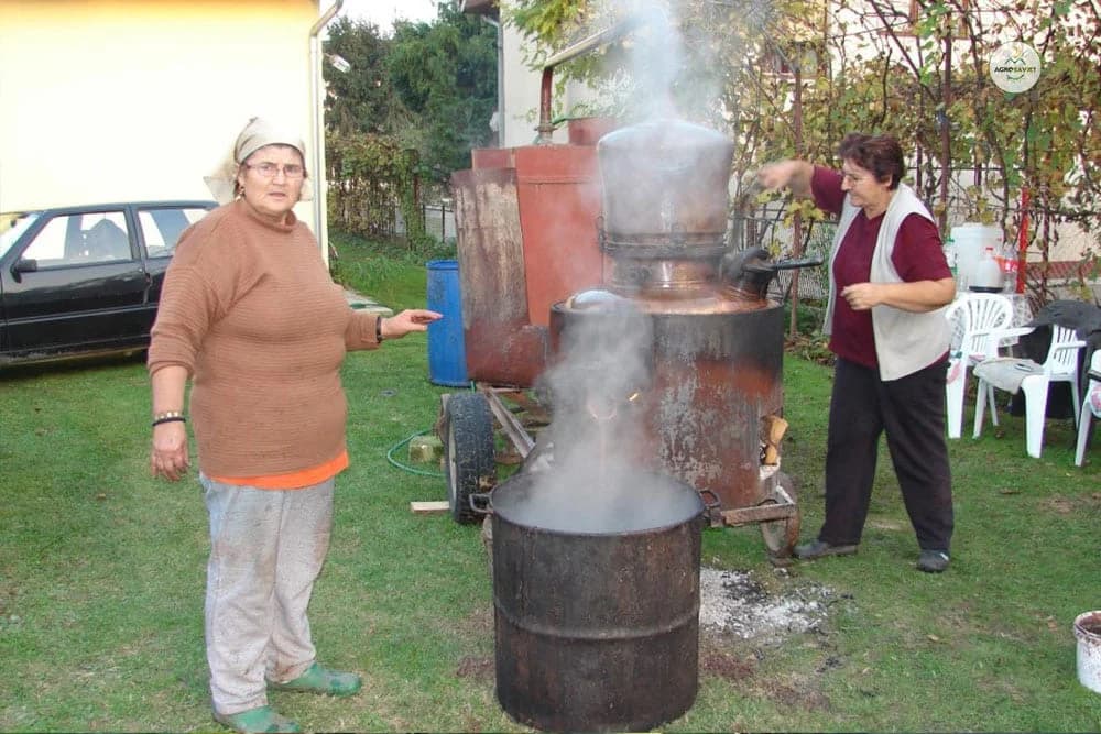 Najbolje vino i rakiju prave Topolčanke, Zora, Vida i Mileva