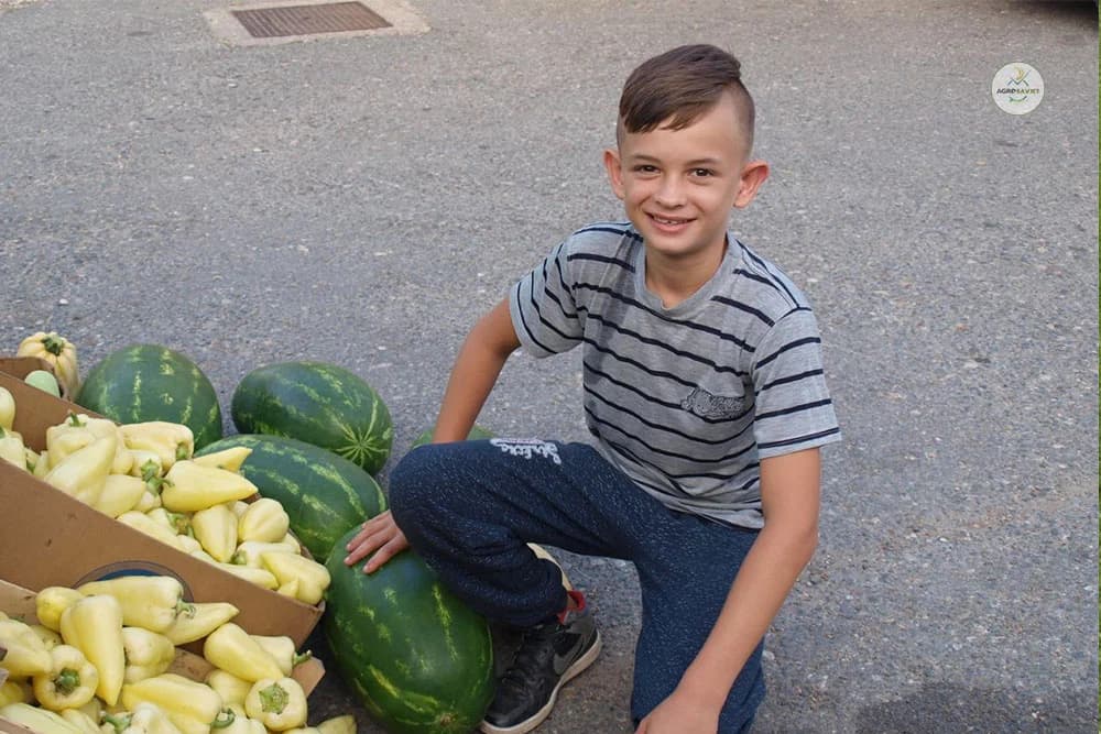Ognjen Grahovac najmlađi prodavač povrća na gradiškoj pijaci