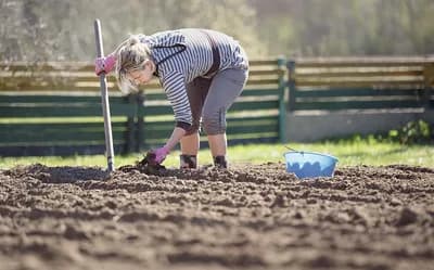 Šansa za razvoj poljoprivrede u BiH