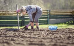 Jesenji radovi u poljoprivredi: Priprema za novu sezonu