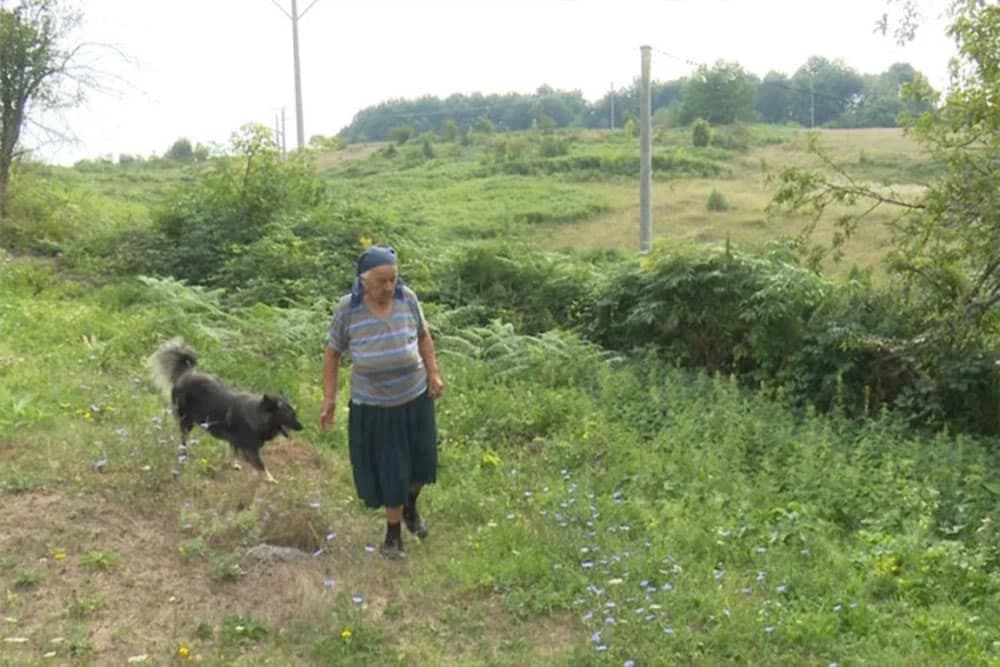 Medvjed svaki dan bere jabuke kod starice u podgrmečkom selu