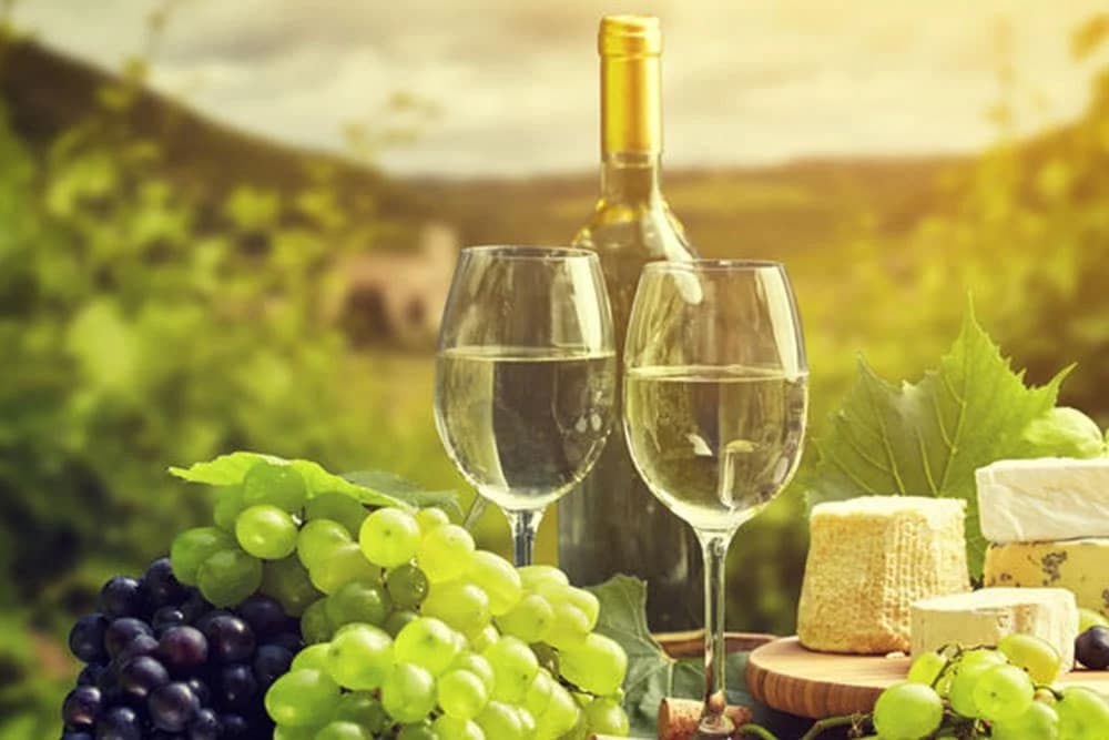 Proizvodnja bijelog vina – 9 jednostavnih koraka