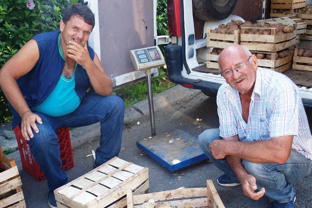 Lisica odnijela sve piliće najiskusnijem lovcu iz Laminaca