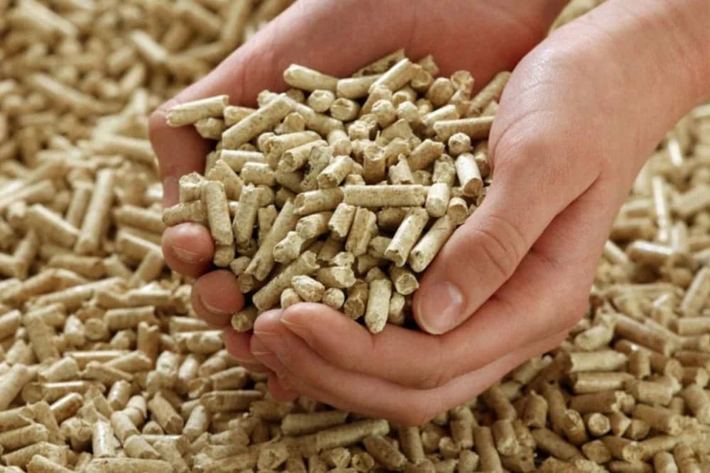 Eksperti savjetuju kako da prepoznate LOŠ PELET