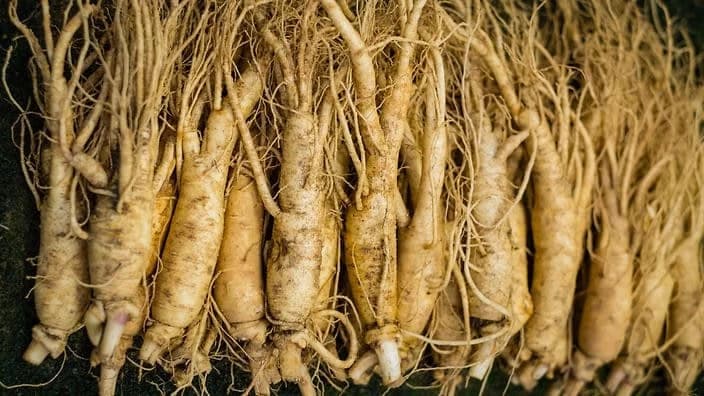 Žen-šen: Biljka koja pomaže kod mnogih bolesti