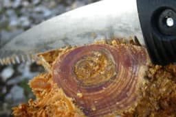 Da biste potpalili vatru bez greške, potrebno je u fioci šporeta imati LUČ