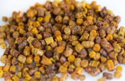 PERGA ILI PČELINJI HLJEB je sve što je potrebno za zdravlje organizma