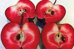 Da li ste znali da postoje ovakve jabuke?