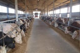 Kako nove tehnologije mogu da pomognu farmerima u Srpskoj?