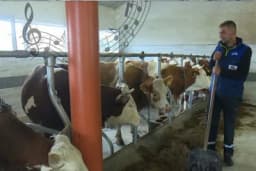 U prvom "hotelu za krave" u BiH puštaju i muziku