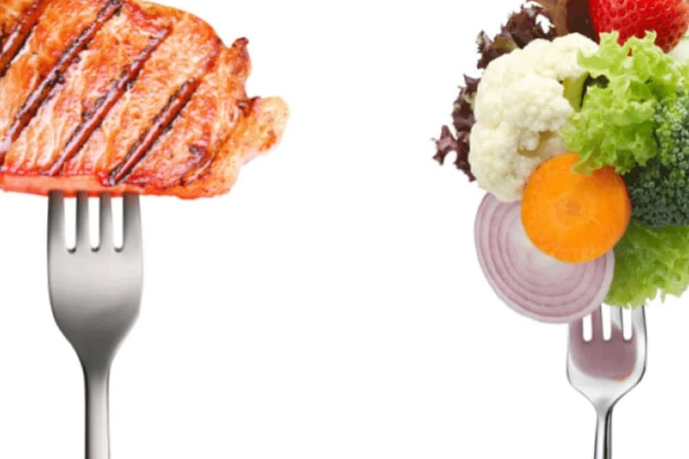 KO DUŽE ŽIVI – MESOJEDI ILI VEGETARIJANCI?