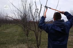 Ko ima ovaj zanat u rukama, za 10 dana može da zaradi nečiju platu