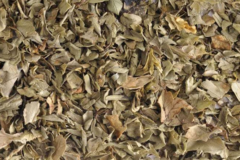 Prirodno sušenje ljekovitog bilja