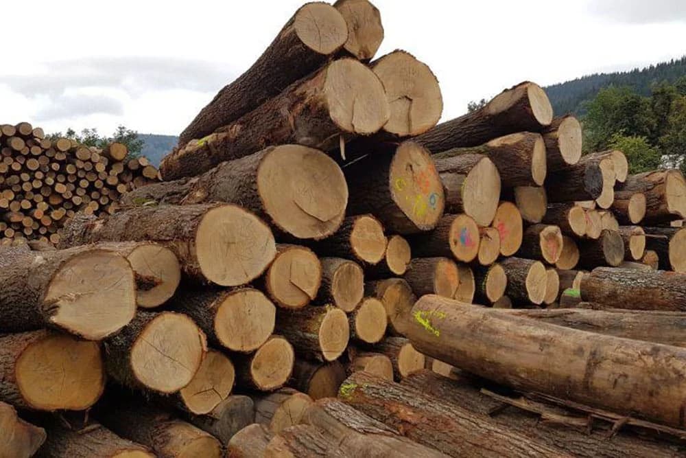 Proizvedena 1,42 miliona metara kubnih šumskih sortimenata u RS