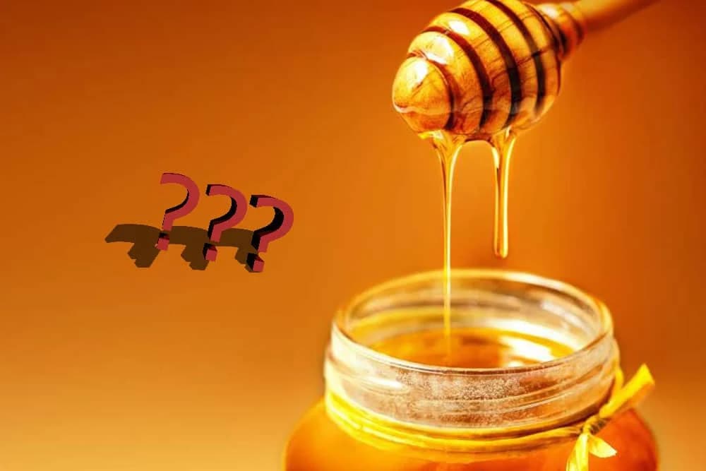 1000% MED: SVJETSKO ČUDO U SRBIJI