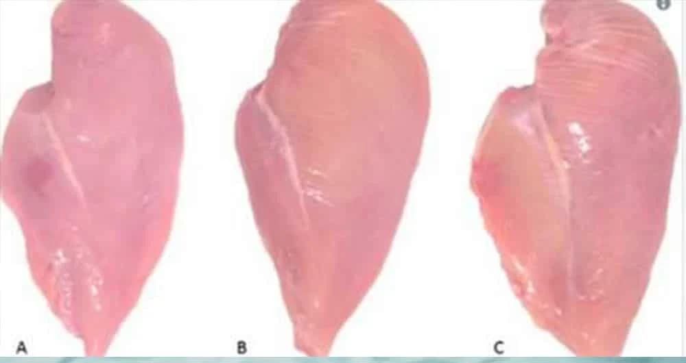Jedan od ova tri komada mesa nikako ne treba da kupite – evo i zašto