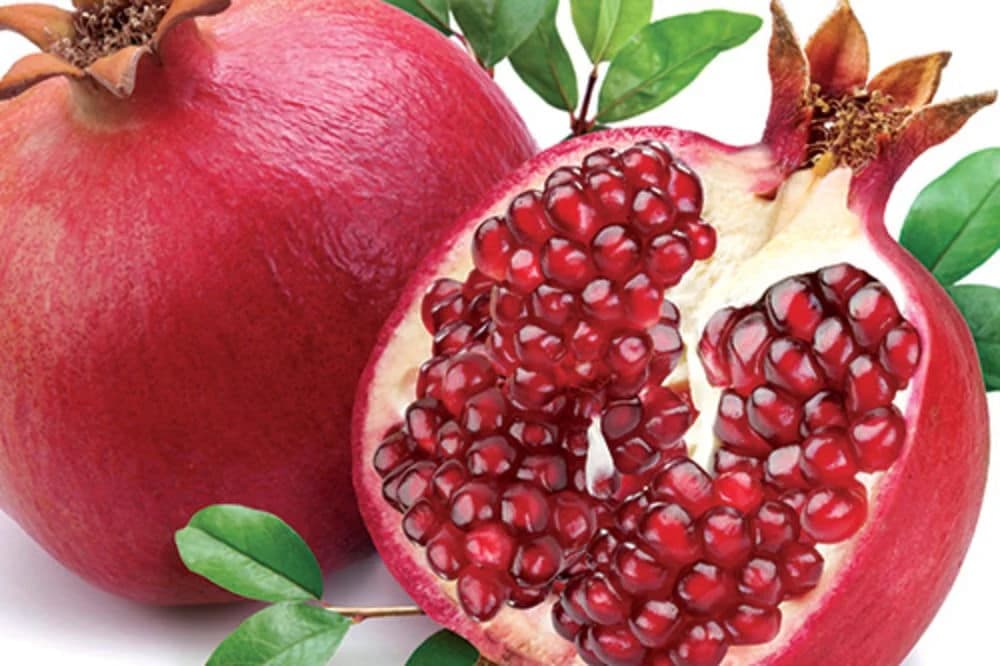 KORA OD NARA kao lijek - Evo kako da je koristite