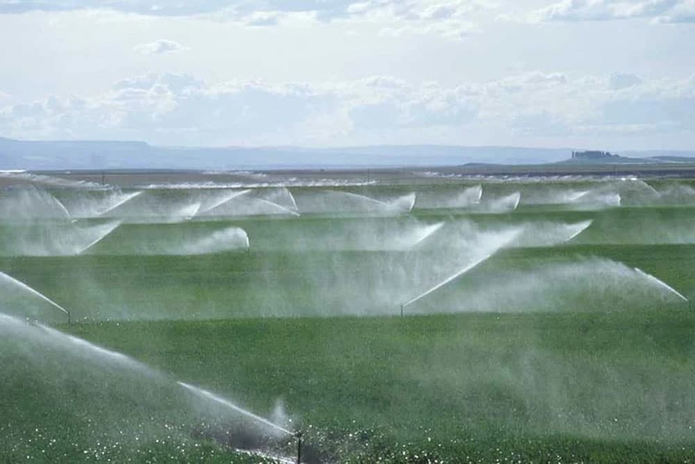 POLJOPRIVREDNICI MOGU DA ODAHNU Akumulacija za lakše navodnjavanje ljubinjskog polja