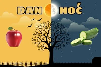 Evo koju hranu treba jesti u koje doba dana