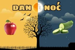 Evo koju hranu treba jesti u koje doba dana