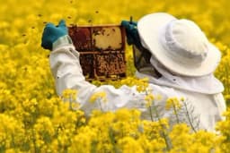 Pripremite se za majske radove u pčelinjaku